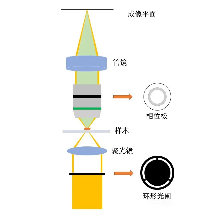 光學(xué)系統與工作原理