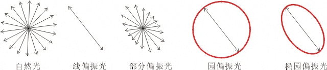 什么是偏振光？偏振光是如何完成檢測的？