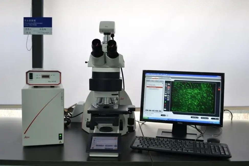 濾光片是如何決定顯微鏡成像性能的？