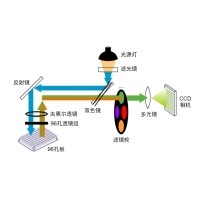 什么是熒光定量PCR、數字PCR？