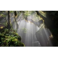 光的干涉、衍射、折射、反射、散射