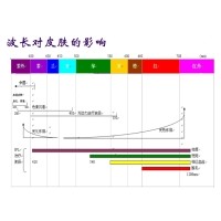 IPL技術(shù)原理特點(diǎn)及其應用